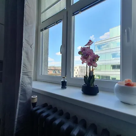 Metropolitan Next To Presidential Palace Apartment *