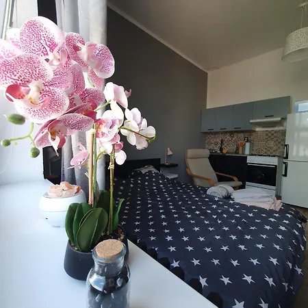 Metropolitan Next To Presidential Palace * Bratislava