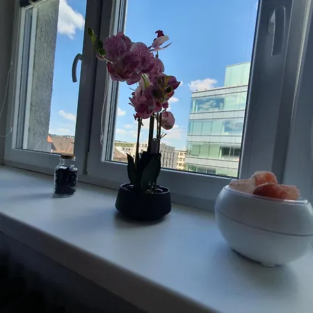 Metropolitan Next To Presidential Palace 公寓 *