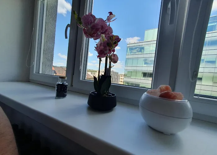 Metropolitan Next To Presidential Palace 公寓 *